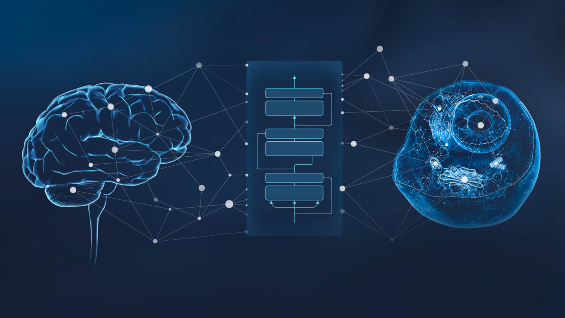 Glowing blue human brain connected through neural network and flow chat to biological cell with visible internal structures, on a dark background.